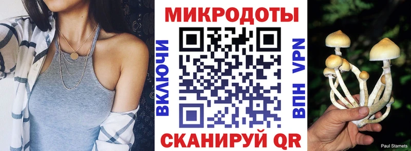 mega ONION  купить наркоту  Сорск  Галлюциногенные грибы прущие грибы 